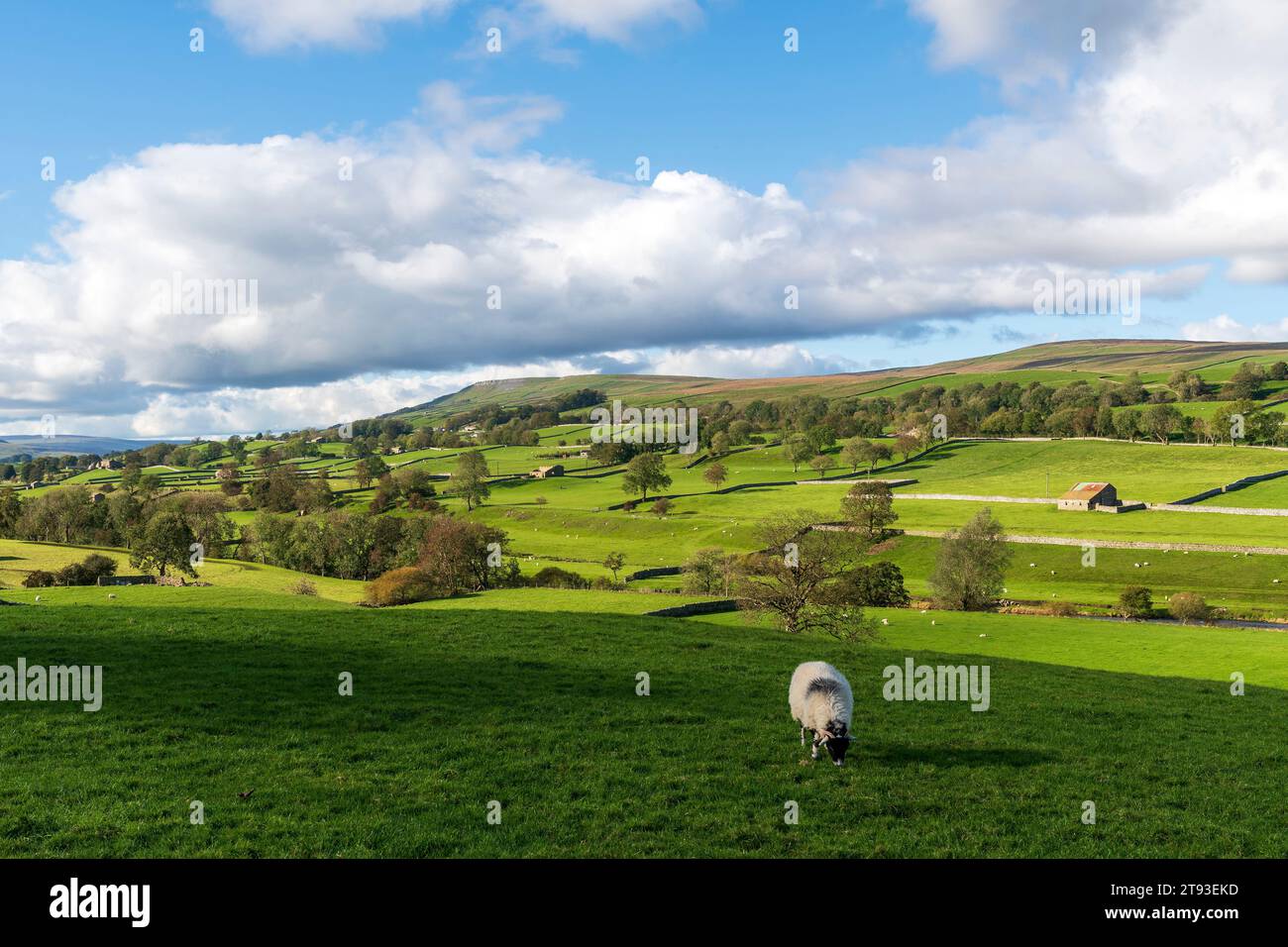 Parc national de Yorkshire Dales, région de Wharfdale située dans le nord de l'Angleterre, englobe des milliers de miles carrés de campagne pittoresque et sce Banque D'Images