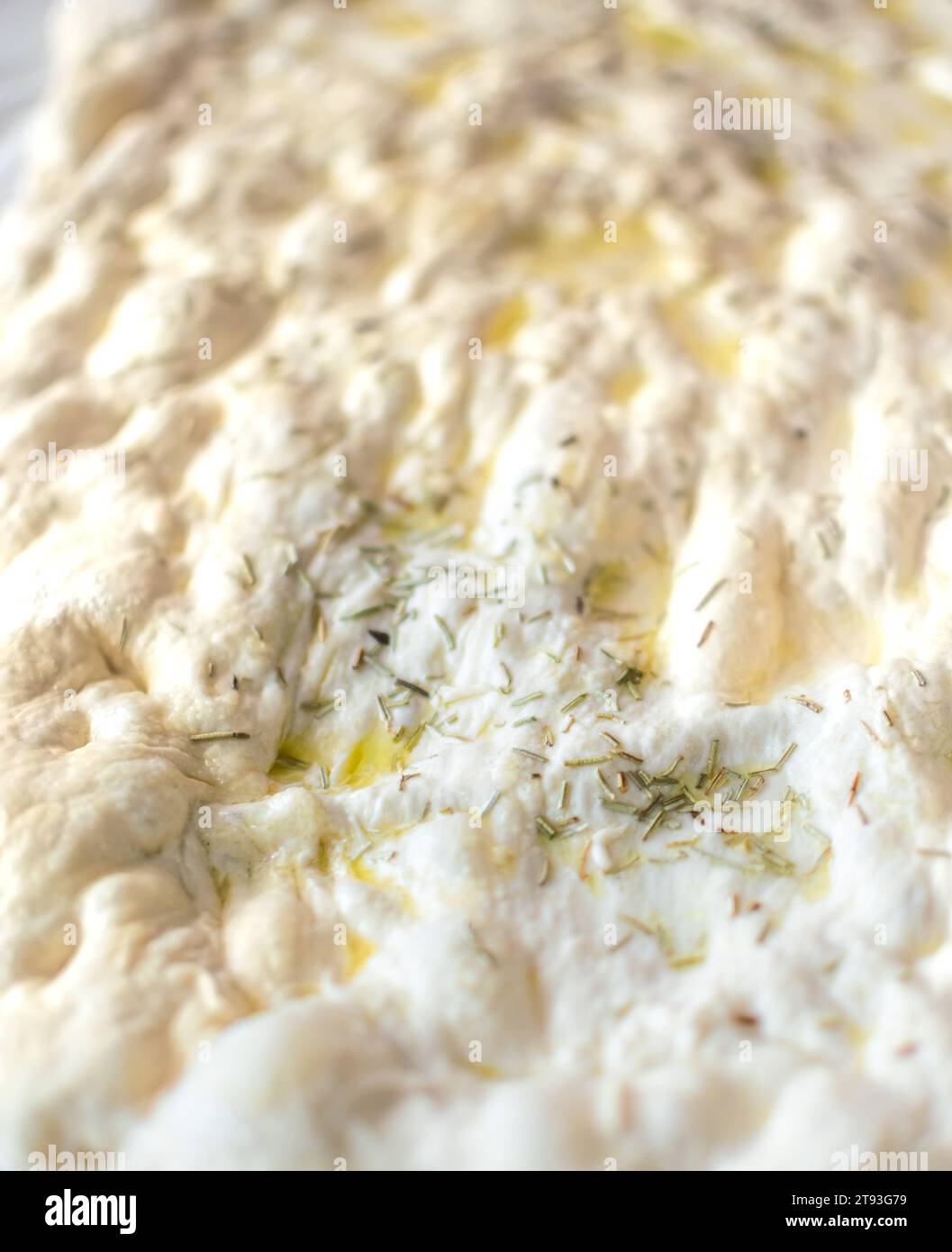 Pâte à pain Focaccia italienne typique avec de l'huile et du romarin sans cuisson Banque D'Images
