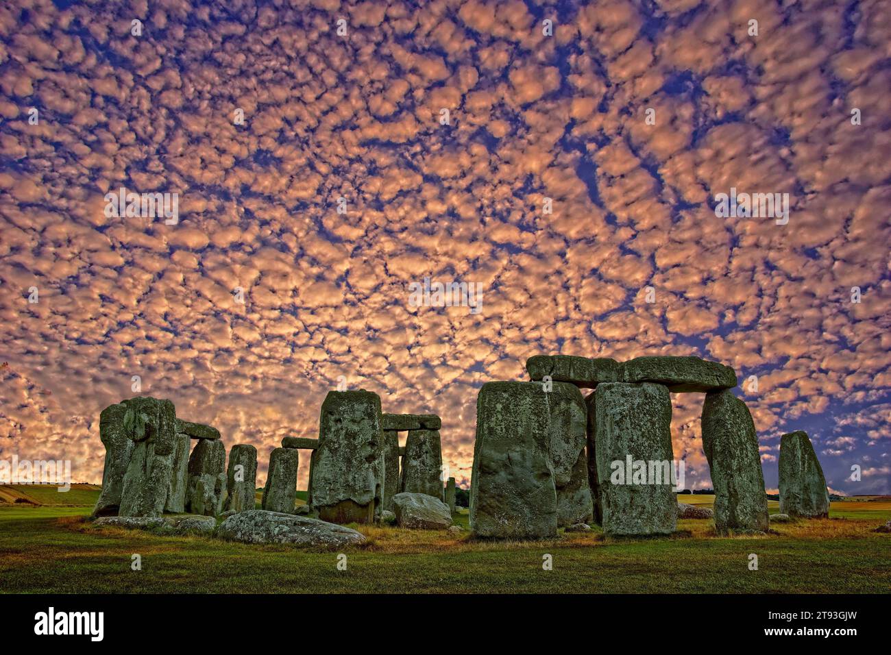 Stonehenge Stone Circle, sur la plaine de Salisbury, dans le Wiltshire, en Angleterre. Banque D'Images