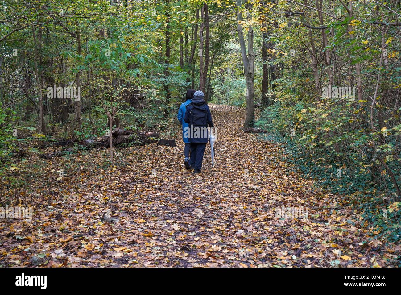 Deux femmes parcourent un sentier forestier en Hollande en automne, Limbourg, pays-Bas. Banque D'Images
