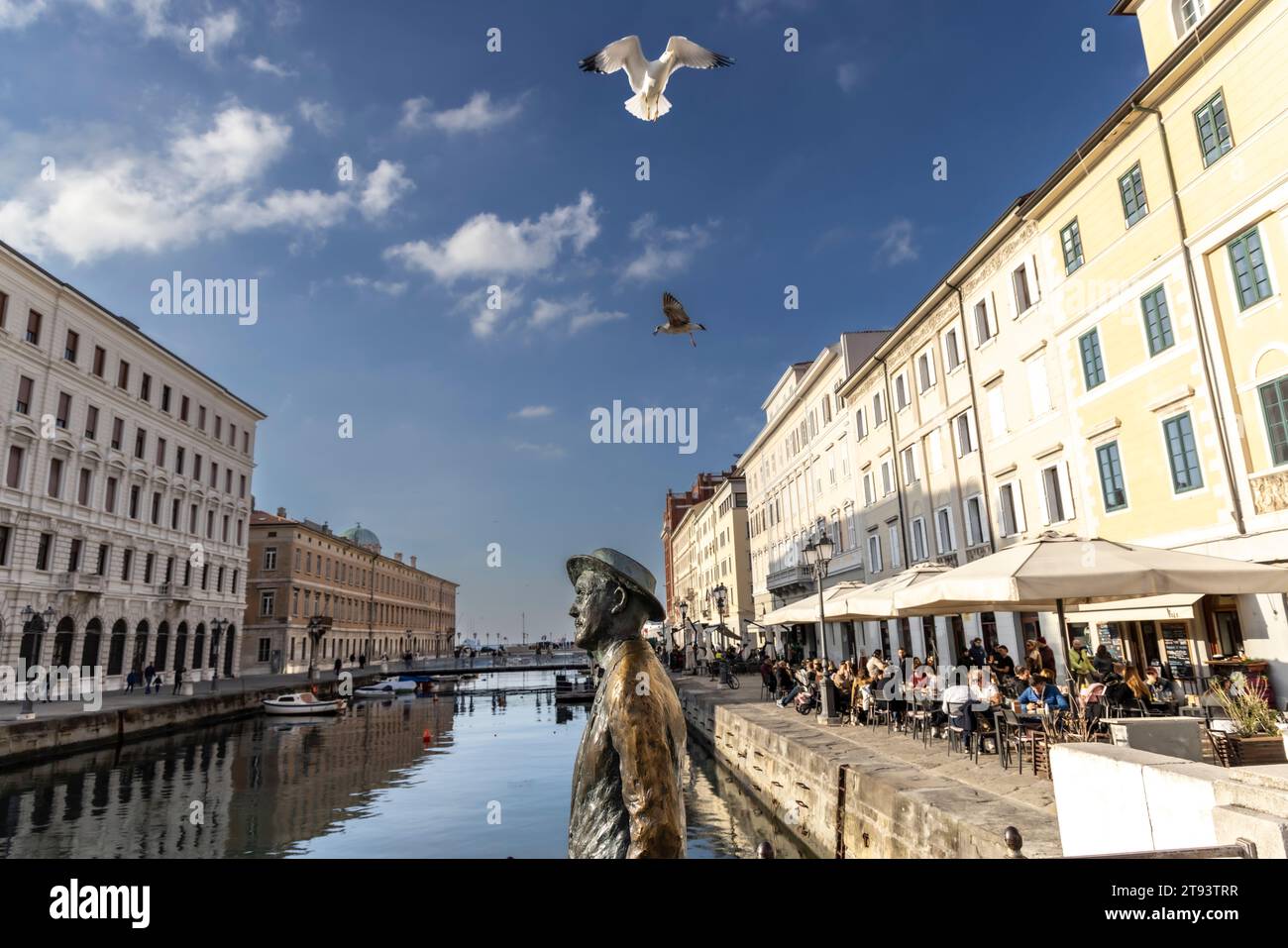 TRIESTE, ITALIE – 19 novembre 2023 : des mouettes entourent la statue de l'écrivain irlandais James Joyce sur le pont de Ponte Rosso à Trieste, en Italie Banque D'Images