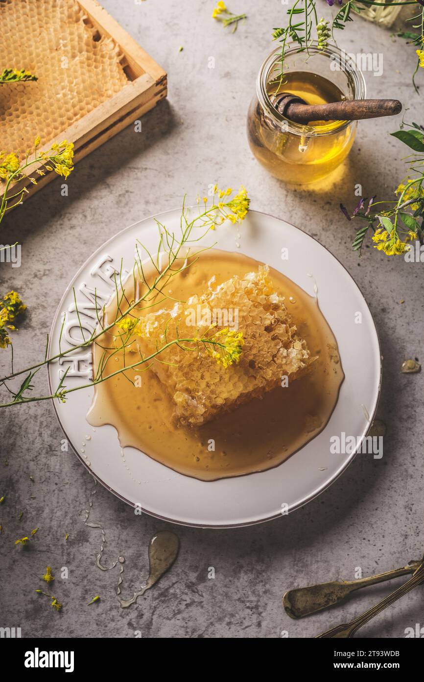 Nid d'abeille cru entier sur la table avec un pot à miel et un balancier en bois, des fleurs jaunes avec des pétales.Édulcorant liquide sain et naturel sur la chienne en béton gris Banque D'Images