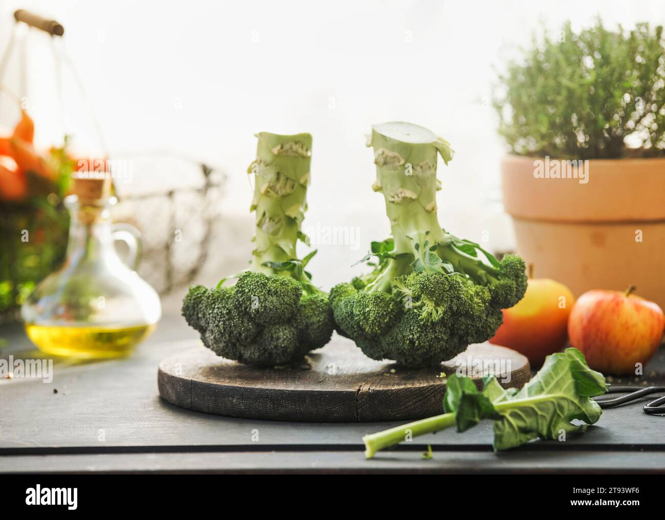 Deux têtes de brocoli entières sur la table de cuisine avec des ingrédients : huile d'olive, herbe en pot sur fond de fenêtre avec lumière naturelle. Préparation de la cuisson avec h Banque D'Images