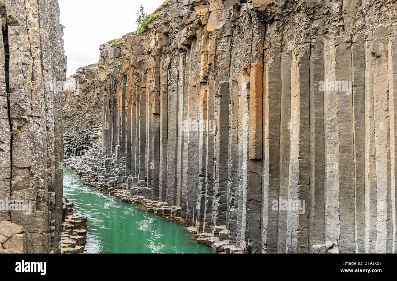 La rivière Jokla traverse le canyon de Studlagil et passe par les colonnes hexagonales de basalte causées par les coulées de lave dans le nord-est de l’Islande, vallée de Jokuldalur, Banque D'Images