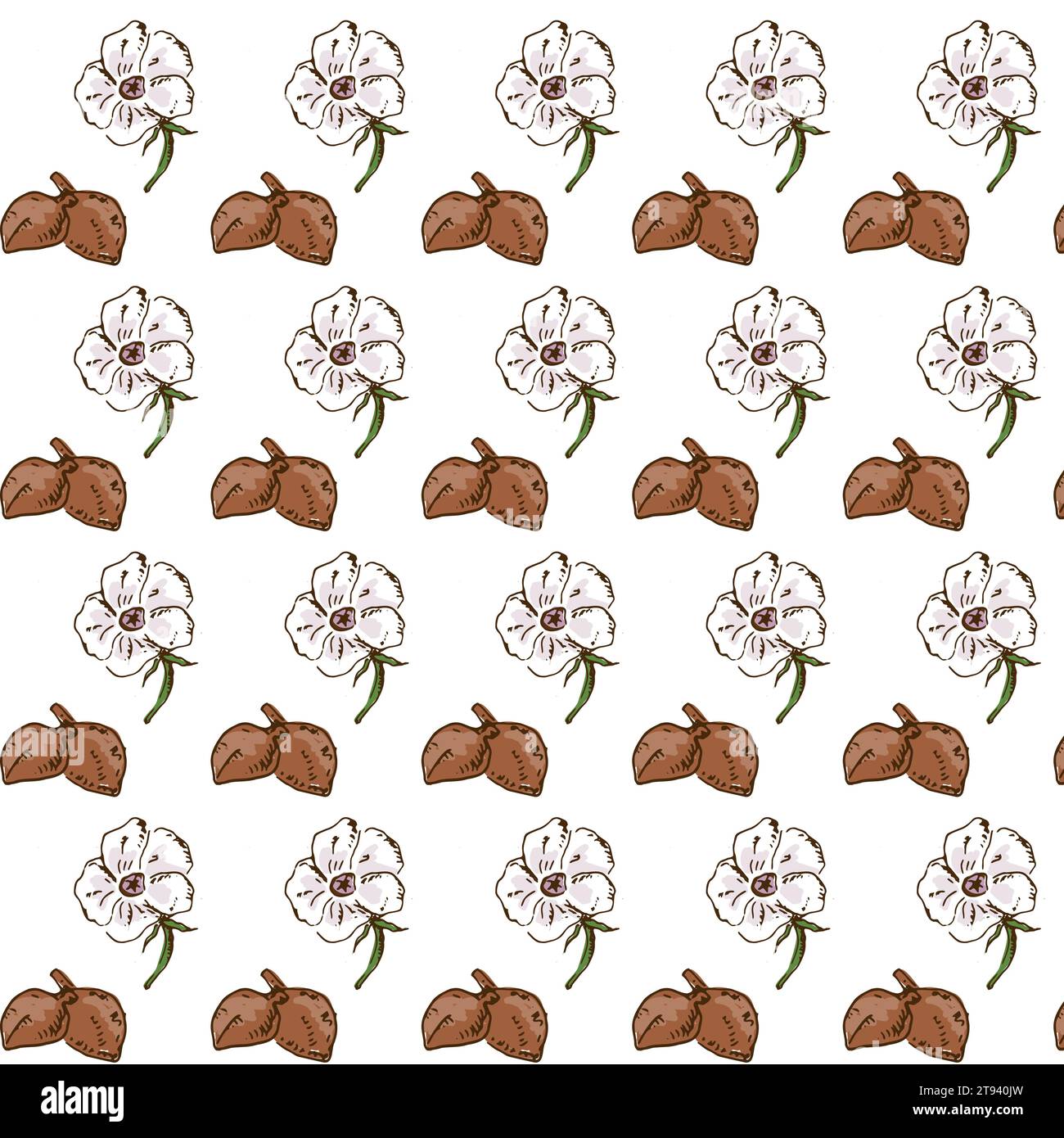 motif sans couture botanique avec fleur de baobab Illustration de Vecteur