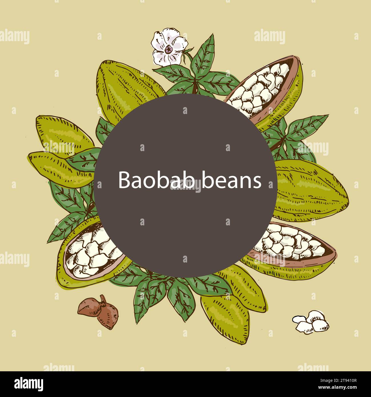 fond avec des haricots de baobab et cadre rond Illustration de Vecteur