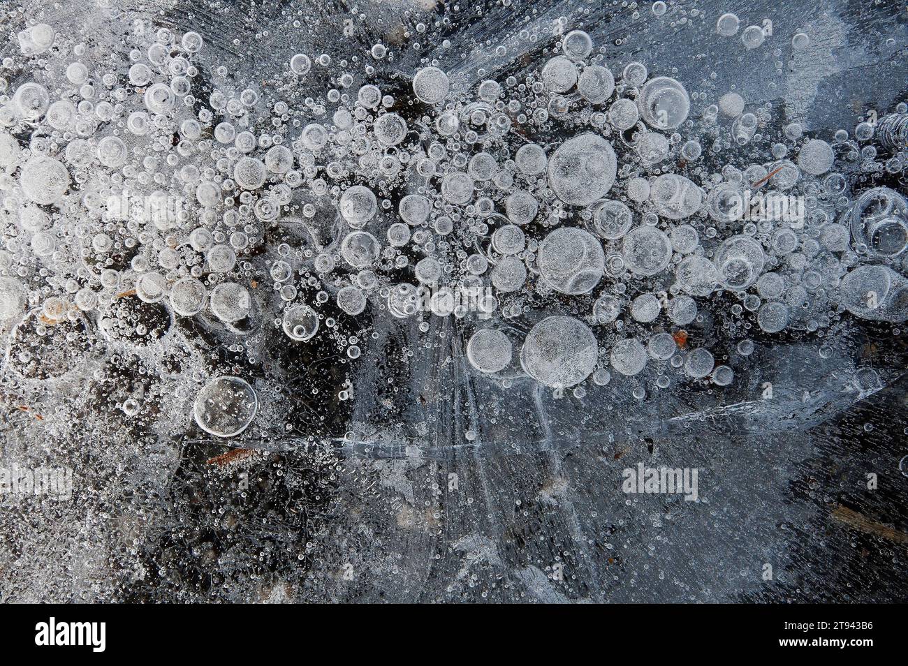 Modèle de glace en hiver Banque D'Images