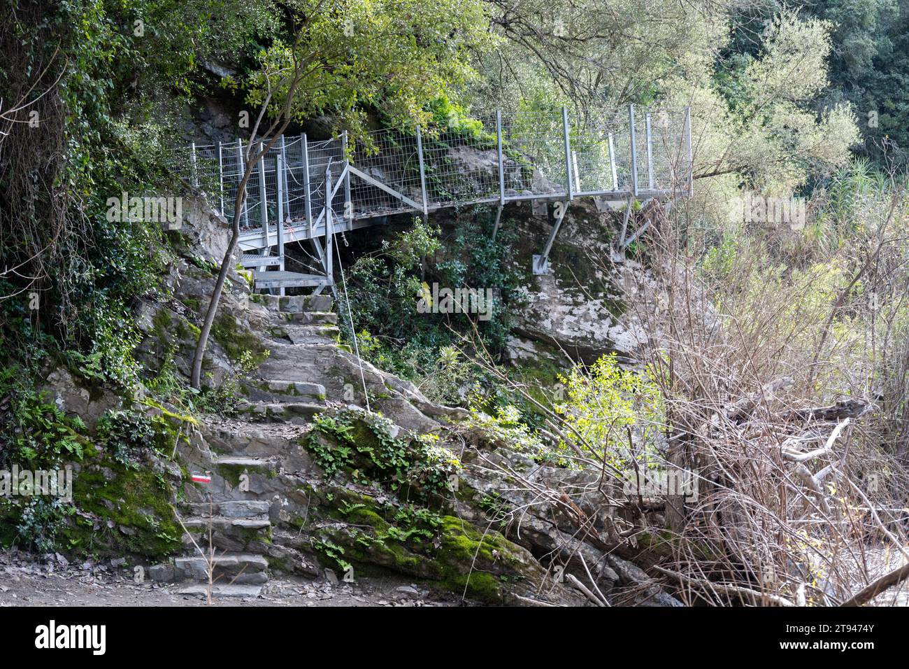 Escalier en pierre et métal et pont dans une forêt luxuriante, menant à travers une végétation dense et envahie. Banque D'Images