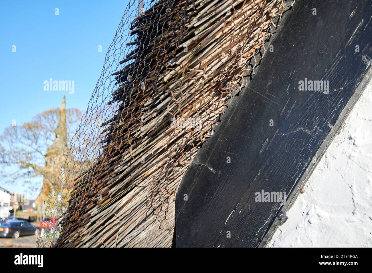 Mur de pignon avec toit de chaume enfermé dans le fil pour la protection Churchtown southport merseyside angleterre royaume-uni Banque D'Images