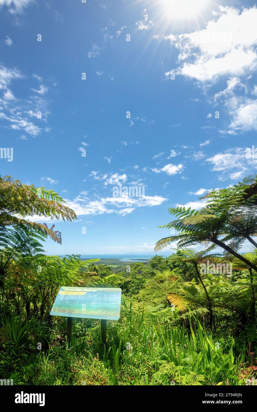 Walu Wugirriga Lookout, Queensland, Australie - également connu sous le nom de Mount Alexandra Lookout c'est un endroit idéal pour voir le Daintree Banque D'Images