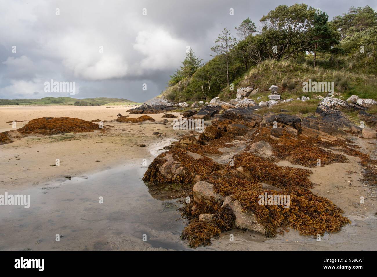 ARDS Forest Park, Donegal, Irlande, Europe Banque D'Images