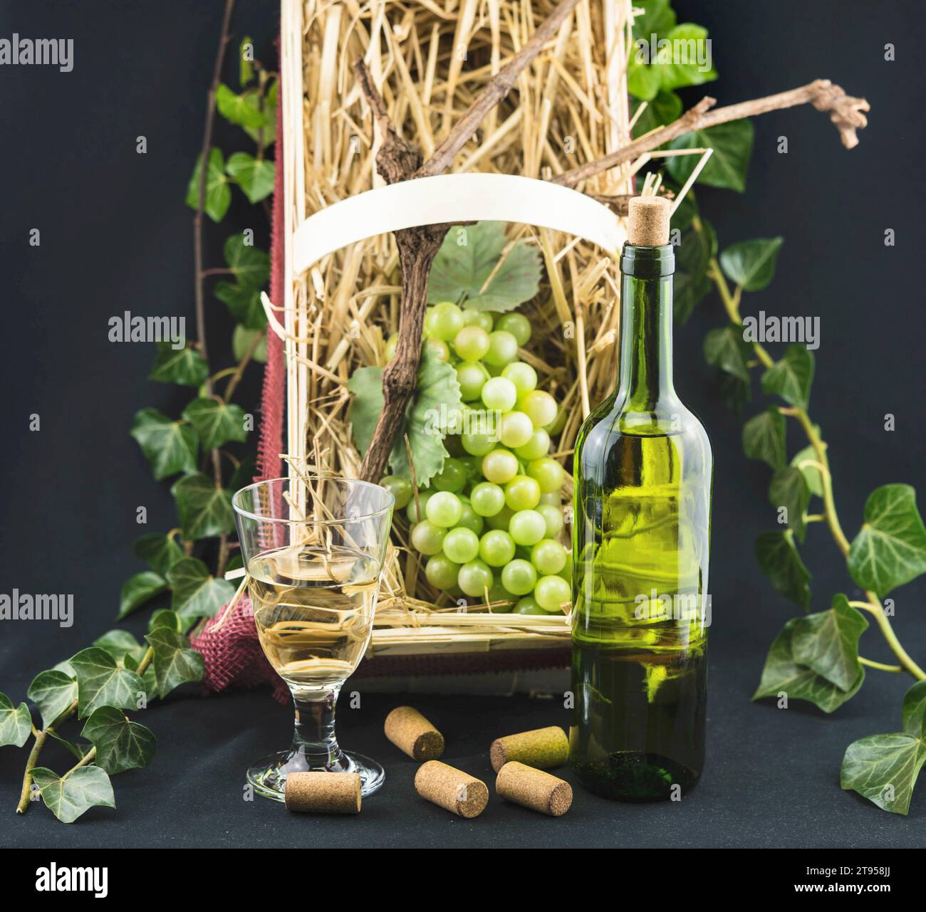 Vigne, vigne (Vitis vinifera), bouteille et verre de vin blanc, raisins dans une boîte de paille, entouré de lierre Banque D'Images