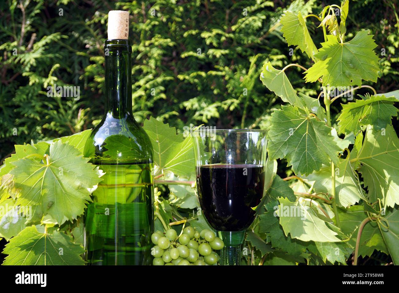 bouteille de vin blanc, verre de vin rouge et feuilles Banque D'Images