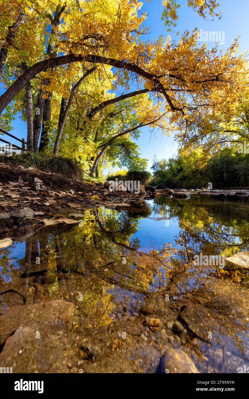 Reflets vibrants de couleur d'automne sur Clear Creek en automne - Golden, Colorado, États-Unis Banque D'Images