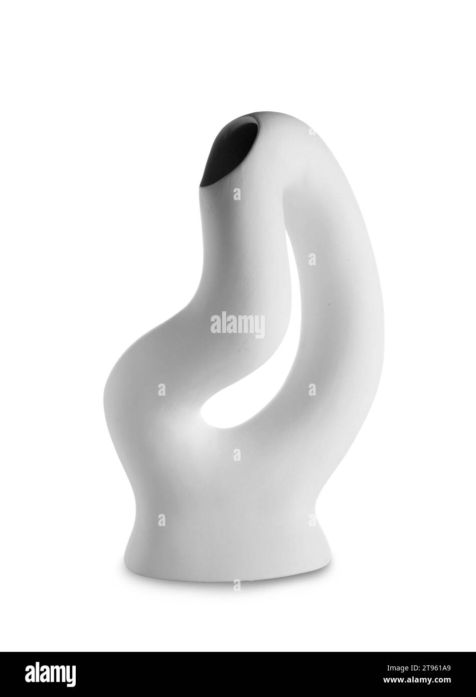 Vase de fleur sur fond blanc Banque D'Images