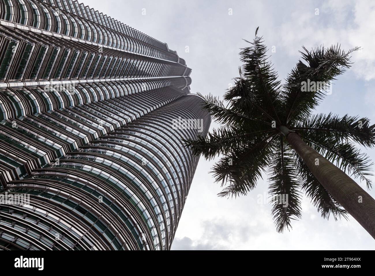 Kuala Lumpur, Malaisie - 25 novembre 2019 : Tours jumelles Petronas et silhouette d'un palmier sous un ciel nuageux Banque D'Images