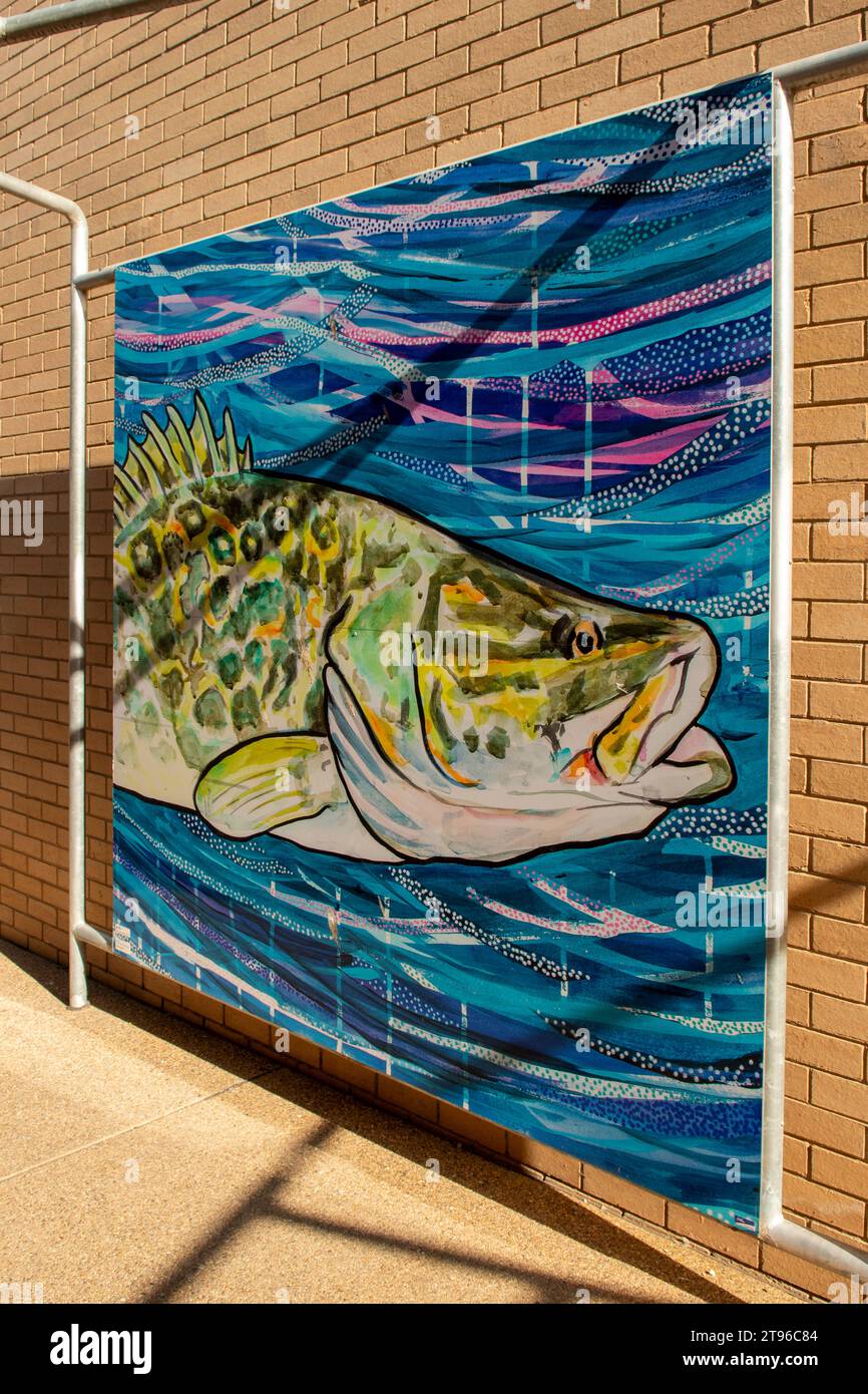 Murray Cod Street Art à Laneway, Swan Hill, Victoria, Australie Banque D'Images