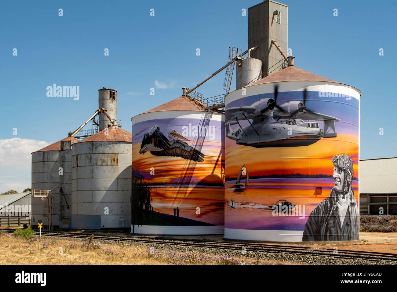 Hydravion Silo Art par Tim Bowtell, Lake Boga, Victoria, Australie Banque D'Images