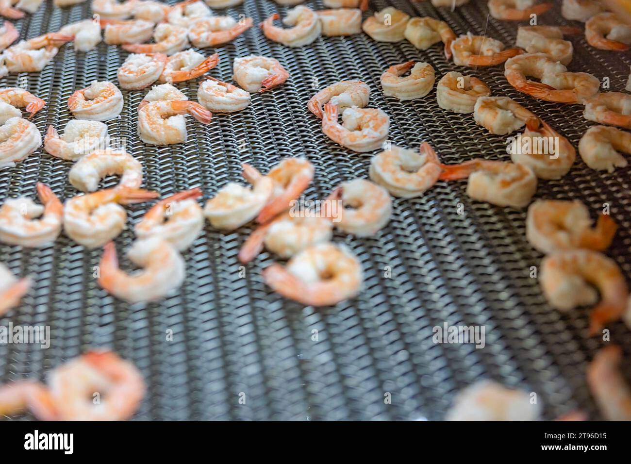 Traiter les crevettes à l'usine au Vietnam Banque D'Images
