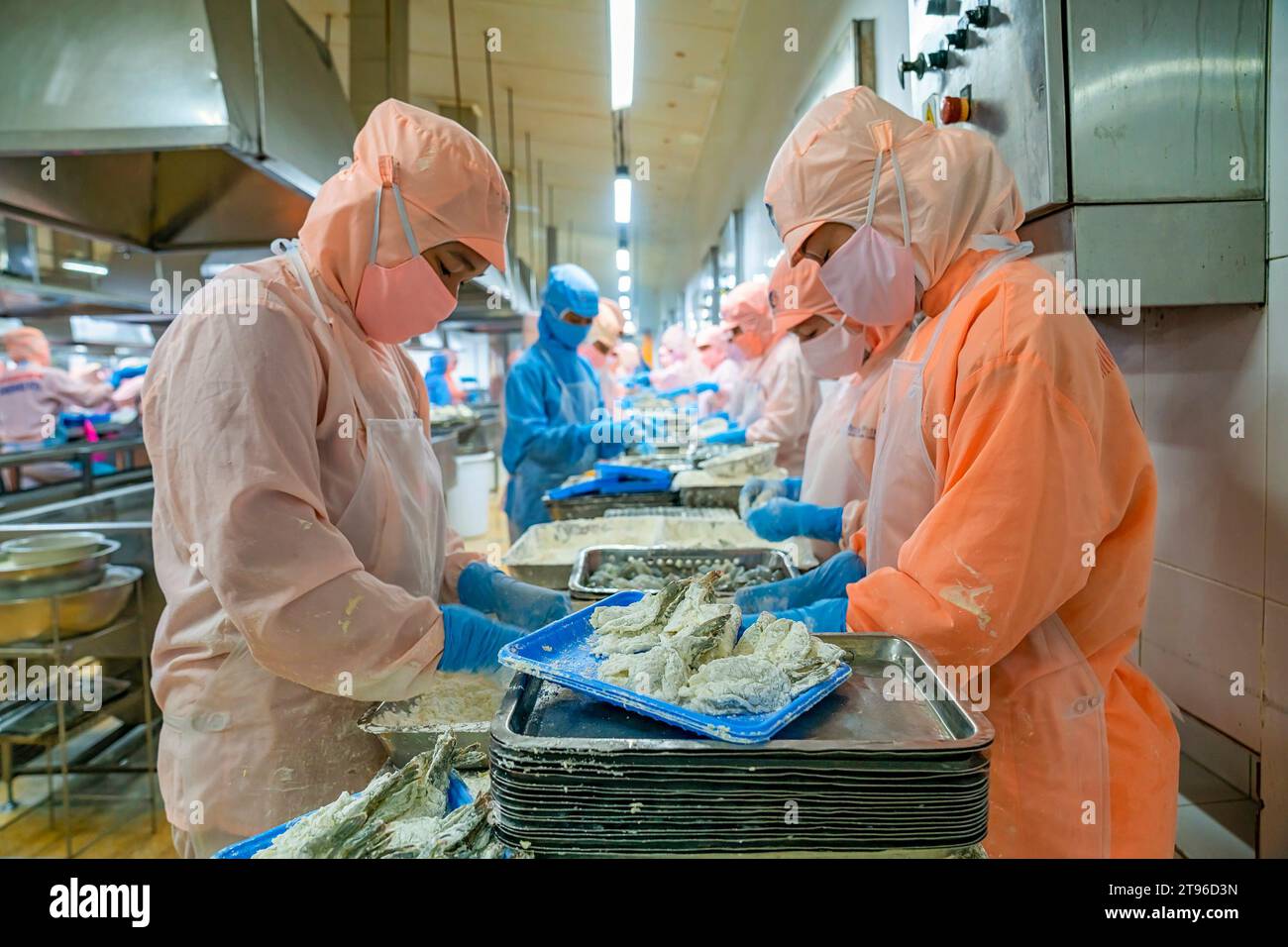 Traiter les crevettes à l'usine au Vietnam Banque D'Images