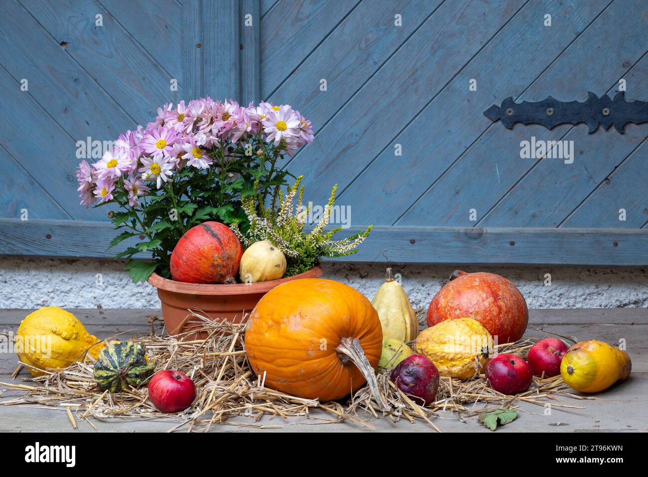 Décoration de campagne d'automne avec citrouille et pommes sur la table Banque D'Images