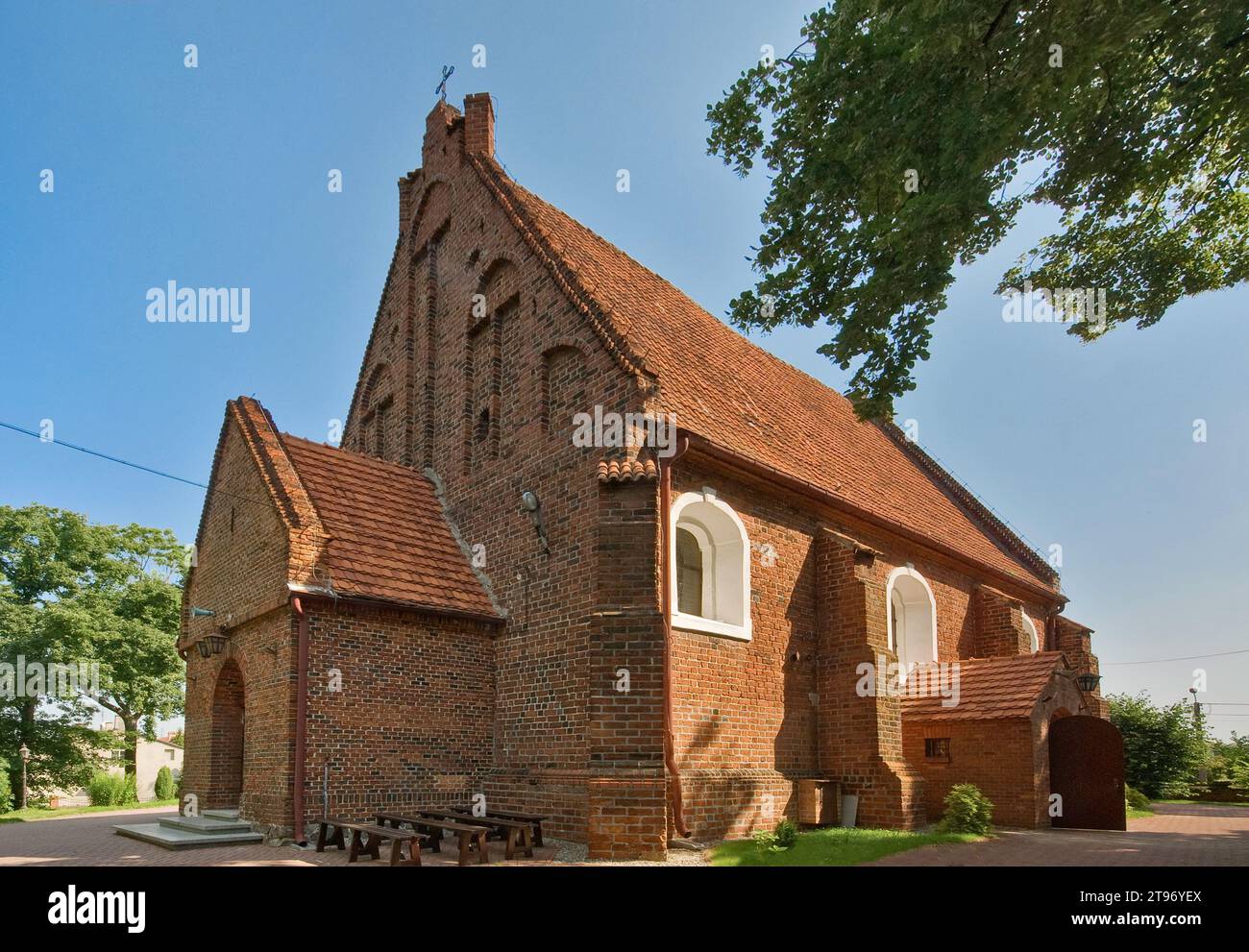 Église Saint-Jacques, gothique tardif, 16e siècle, ancien tilleul, dans la ville de Mogilno, Kujawsko-Pomorskie, Pologne Banque D'Images