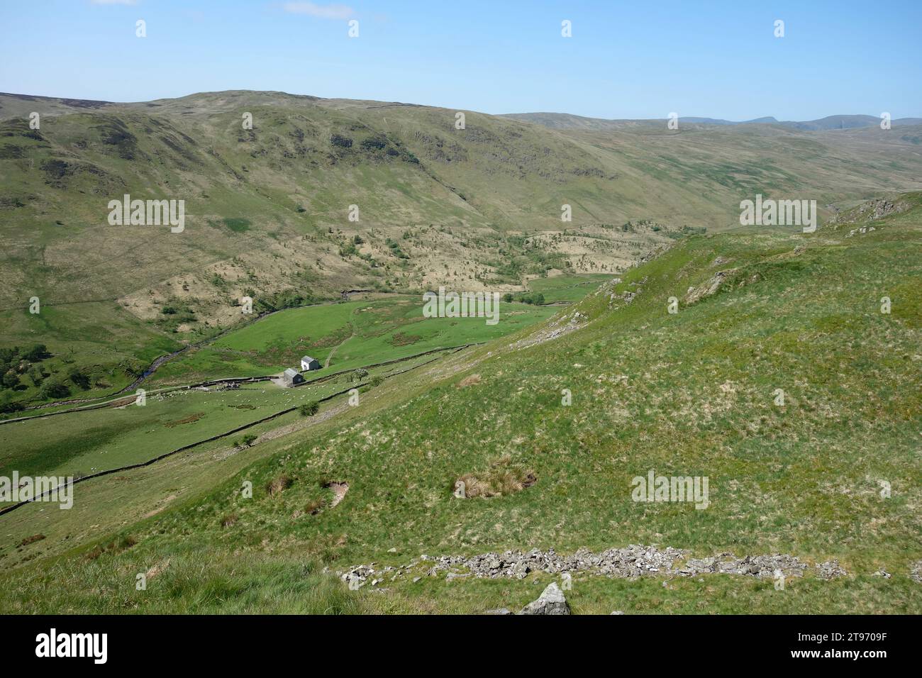 La vallée de la haute Borrowdale depuis le sommet de la périphérie Wainwright 'High House Bank' à Crookdale, Lake District National Park, Cumbria. ROYAUME-UNI. Banque D'Images