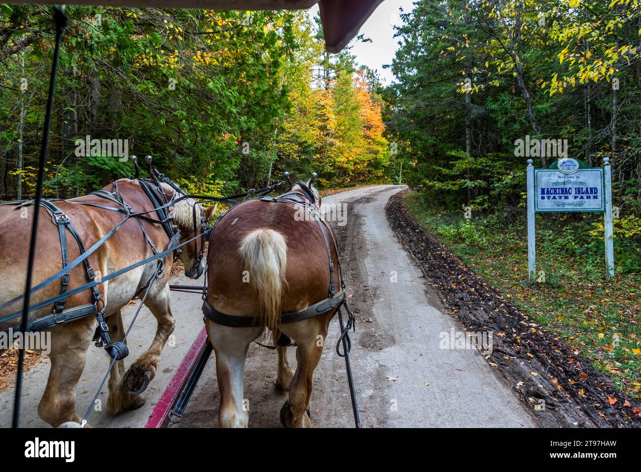 Les chevaux tirent une calèche pour les touristes lors d'une promenade à travers l'île Mackinac. Les calèches sont le principal moyen de transport sur l'île Mackinac, aux États-Unis Banque D'Images