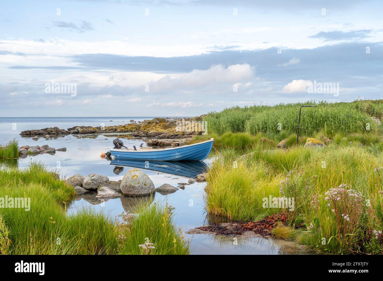 Danemark, Bornholm, Svaneke, bateau à moteur amarré sur la côte herbeuse de l'île Banque D'Images