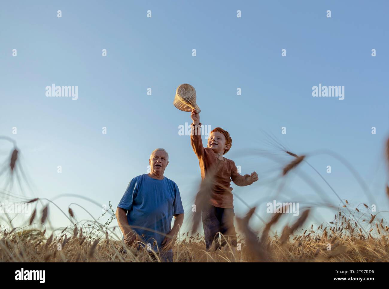 Petit-fils tenant le chapeau de paille avec grand-père dans le champ de blé sous le ciel Banque D'Images