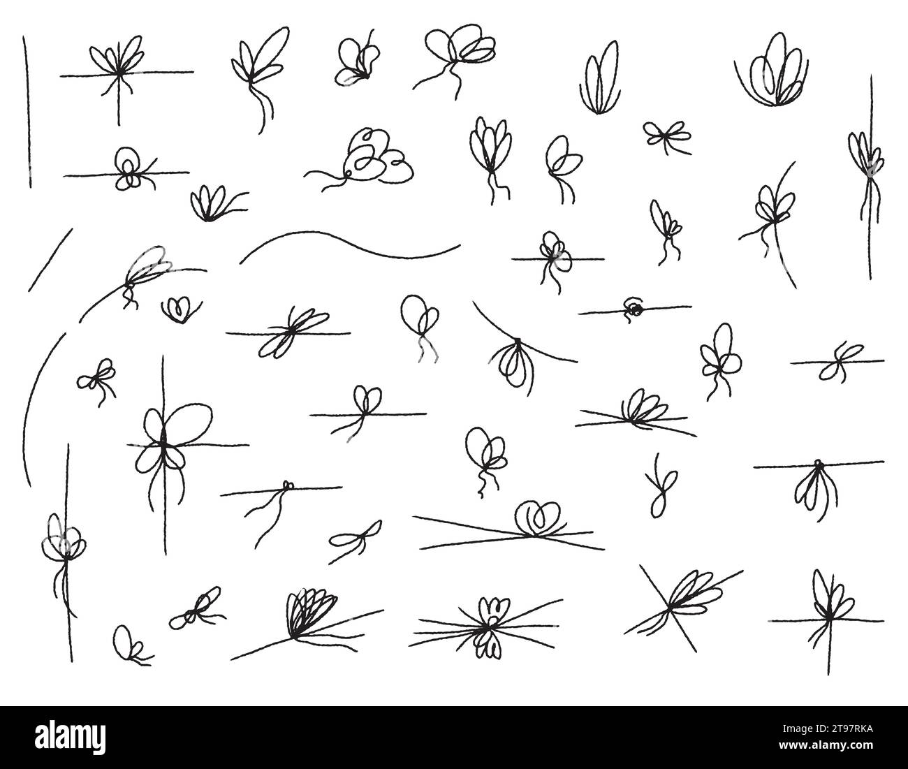 Un ensemble de noeuds linéaires sur un ruban pour décorer un cadeau, dessiné au crayon. Corde avec des nœuds de corde dans le style doodle, éléments de mariage ligne mince simple isola Illustration de Vecteur