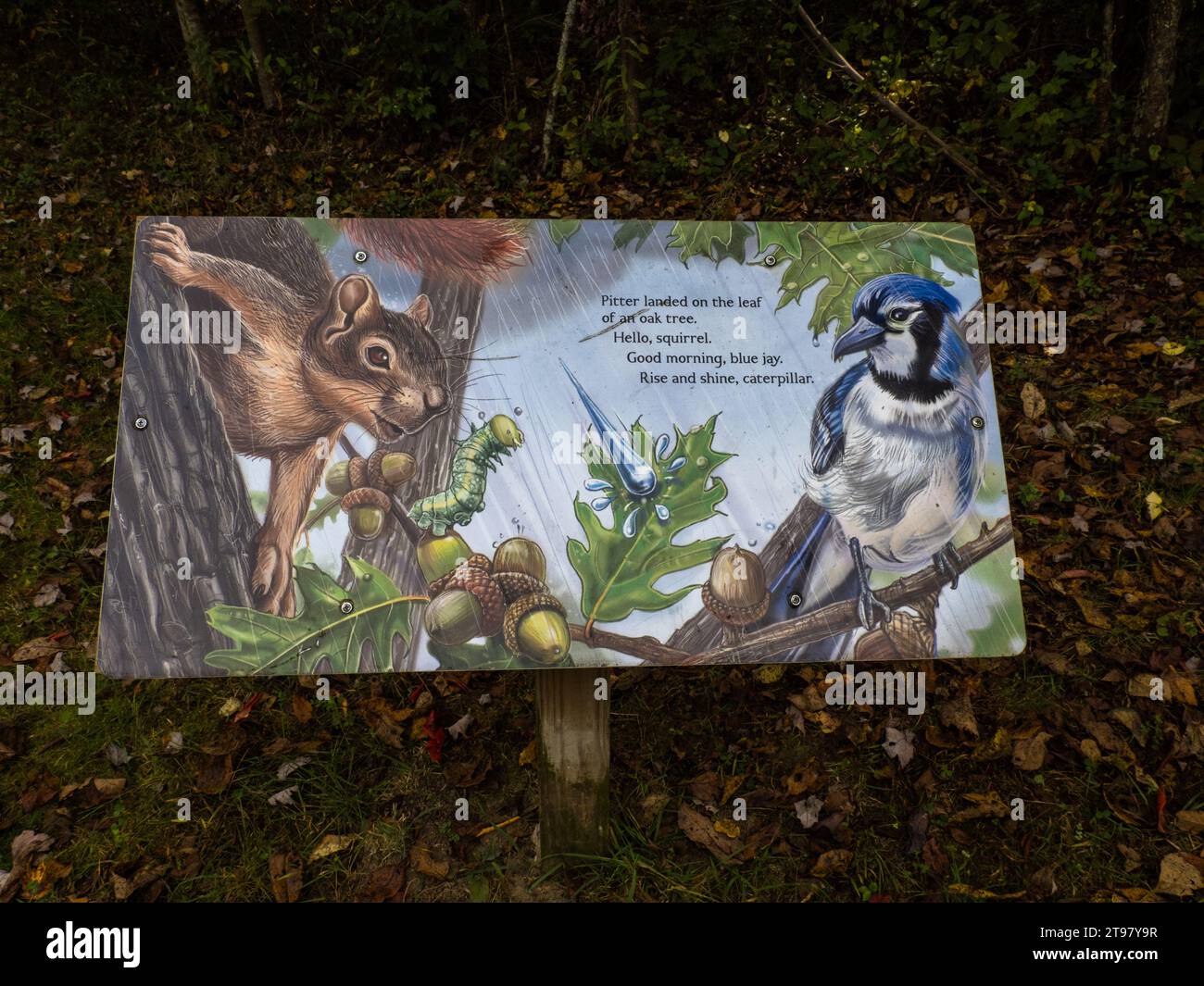 Panneaux de signalisation des sentiers naturels dans le South Cumberland State Park, Tennessee, États-Unis Banque D'Images
