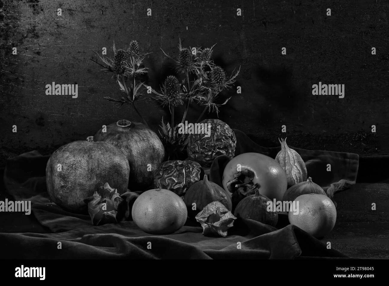 Divers fruits tropicaux et un chardon forment une nature morte en noir et blanc sur un tissu de velours. Banque D'Images