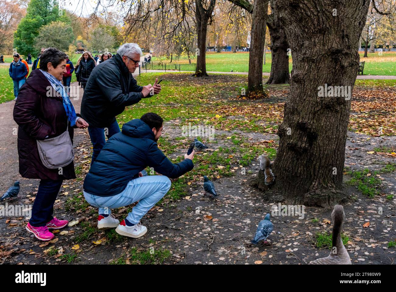 Visiteurs prenant des photos d'Un écureuil à St James's Park, Londres, Royaume-Uni Banque D'Images