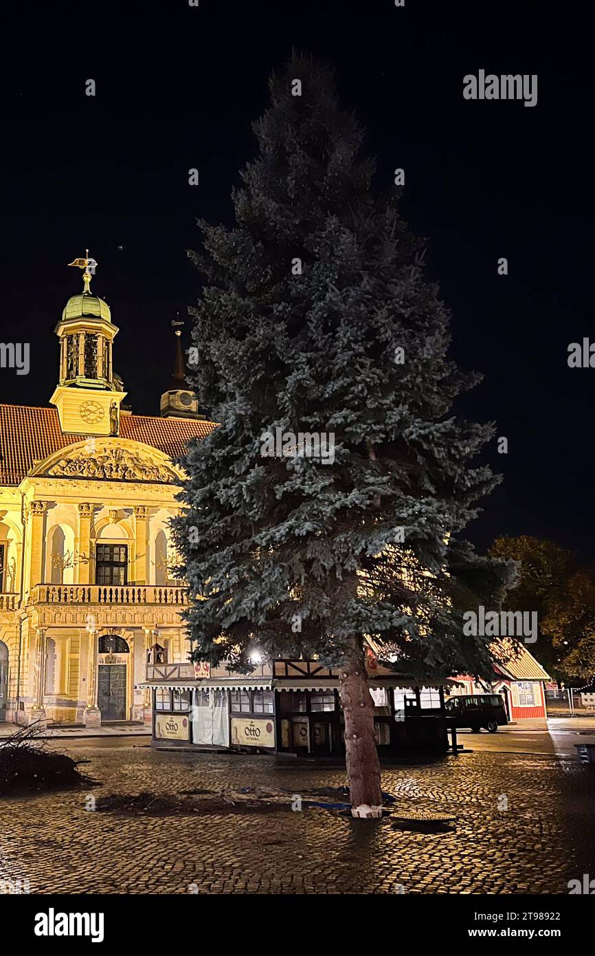 Weihnachtsbaum für den diesjährigen Weihnachtsmarkt steht jetzt auf dem Alten Markt vor dem Rathaus. Weihnachtsbaum für Magdeburger Weihnachtsmarkt gefällt. für jedes ihrer drei Kinder wurde BEI Familie Parnitzke aus Magdeburg ein Baum gepflankt. Doch nachdem sich das Wurzelwerk einer Fichte stark ausgeweitet Hat, wechselt der Baum seinen Standort und schmückt in diesem Jahr den Magdeburger Weihnachtsmarkt. AM Montag wurde der 16 mètre hohe Baum im Stadtteil Hopfengarten gefällt. *** Arbre de Noël pour cette année le marché de Noël se trouve maintenant sur l'Alter Markt en face de la mairie Christma Banque D'Images