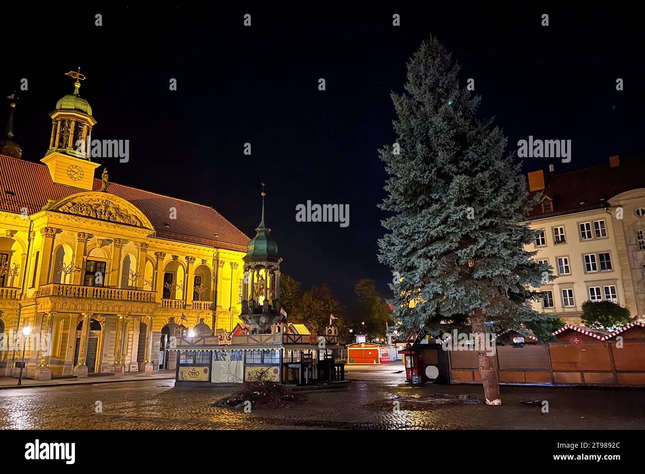 Weihnachtsbaum für den diesjährigen Weihnachtsmarkt steht jetzt auf dem Alten Markt vor dem Rathaus. Weihnachtsbaum für Magdeburger Weihnachtsmarkt gefällt. für jedes ihrer drei Kinder wurde BEI Familie Parnitzke aus Magdeburg ein Baum gepflankt. Doch nachdem sich das Wurzelwerk einer Fichte stark ausgeweitet Hat, wechselt der Baum seinen Standort und schmückt in diesem Jahr den Magdeburger Weihnachtsmarkt. AM Montag wurde der 16 mètre hohe Baum im Stadtteil Hopfengarten gefällt. *** Arbre de Noël pour cette année le marché de Noël se trouve maintenant sur l'Alter Markt en face de la mairie Christma Banque D'Images