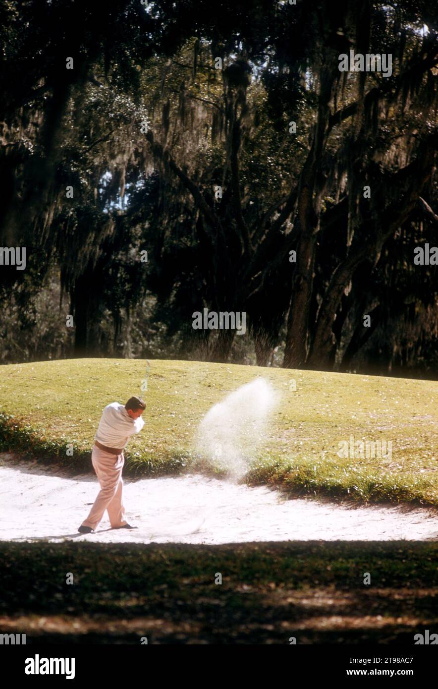 LA HAVANE, CUBA - FÉVRIER 1956 : un golfeur non identifié tente de frapper sa balle hors du sable lors d'un événement de golf vers février 1956 à la Havane, Cuba. (Photo de Hy Peskin) Banque D'Images