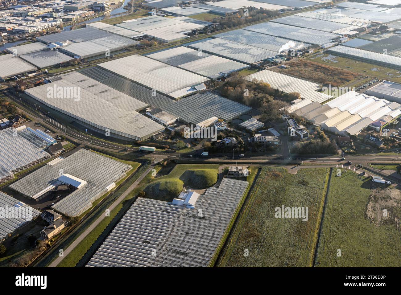 Serres de vue aérienne pour l'horticulture dans la région néerlandaise Westland Banque D'Images
