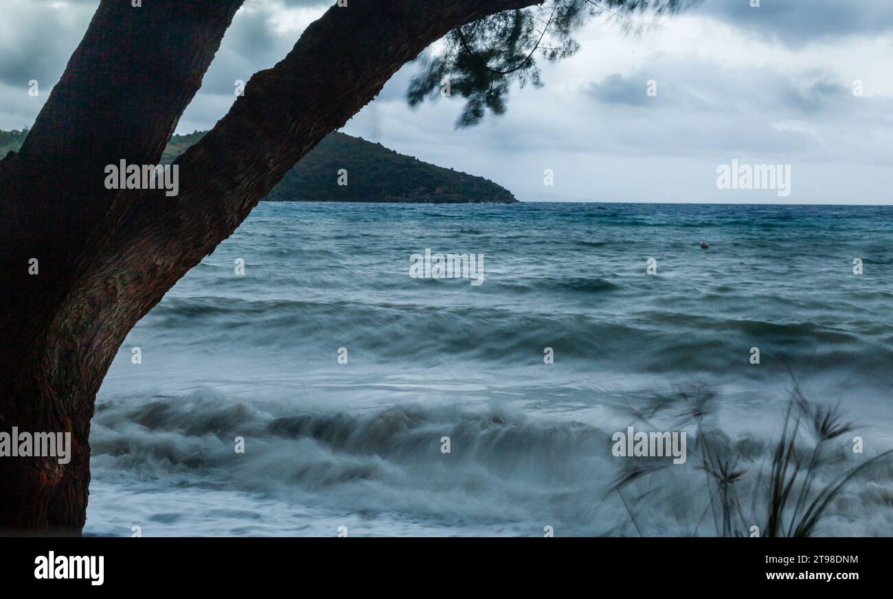 Vue sur la nature par la mer un jour pluvieux et venteux. Banque D'Images