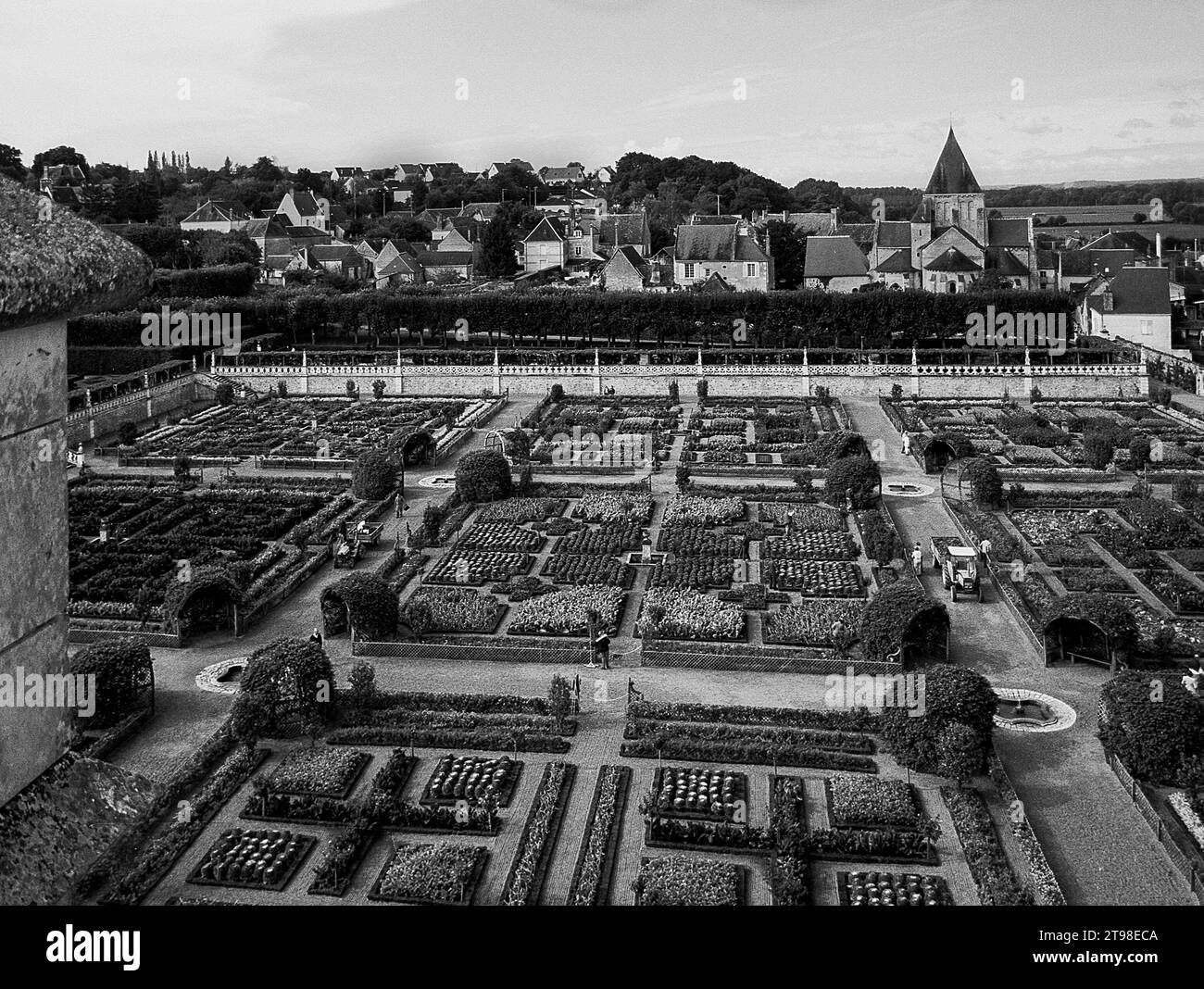 France, Loire : Château de Villandry Banque D'Images