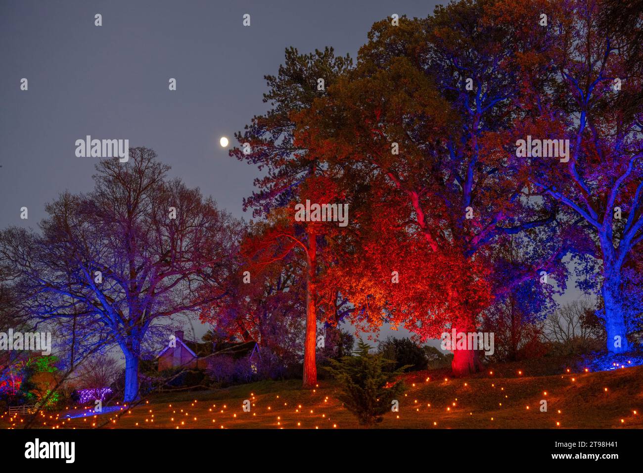 RHS Gardens Wisley, Surrey, Royaume-Uni. 23 novembre 2023. Soirée d'avant-première magique au RHS Gardens Wisley. À Glow 2023, admirez le jardin d'une beauté à couper le souffle tandis que des illuminations étonnantes illuminent la route des visiteurs lors d'un voyage rempli d'émerveillement. L'événement festif coloré se déroule du 24 novembre 2023 au 2 janvier 2024. Crédit : Malcolm Park/Alamy Live News Banque D'Images