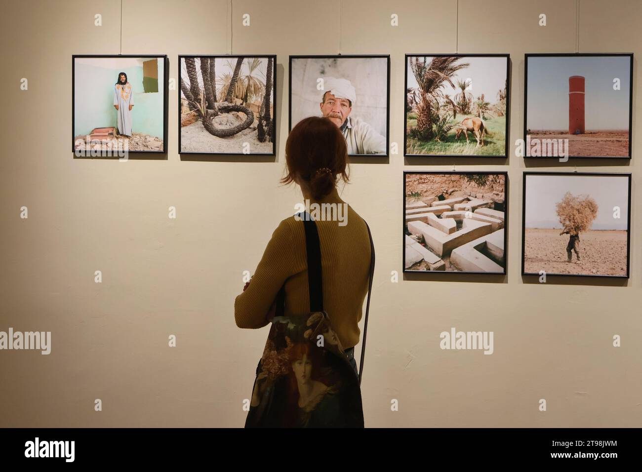 Une femme regarde des photographies sur le mur des participants au concours World Press photo, présenté lors de l'exposition. Une exposition de photographies du concours World Press photo a lieu à Kiev. Banque D'Images
