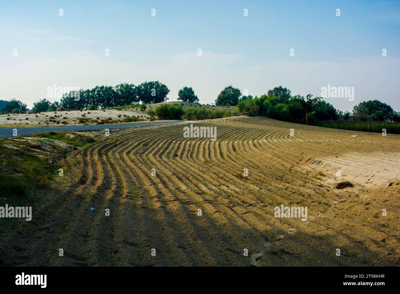 Paysage agricole le long de la route dans le désert du Thar Banque D'Images