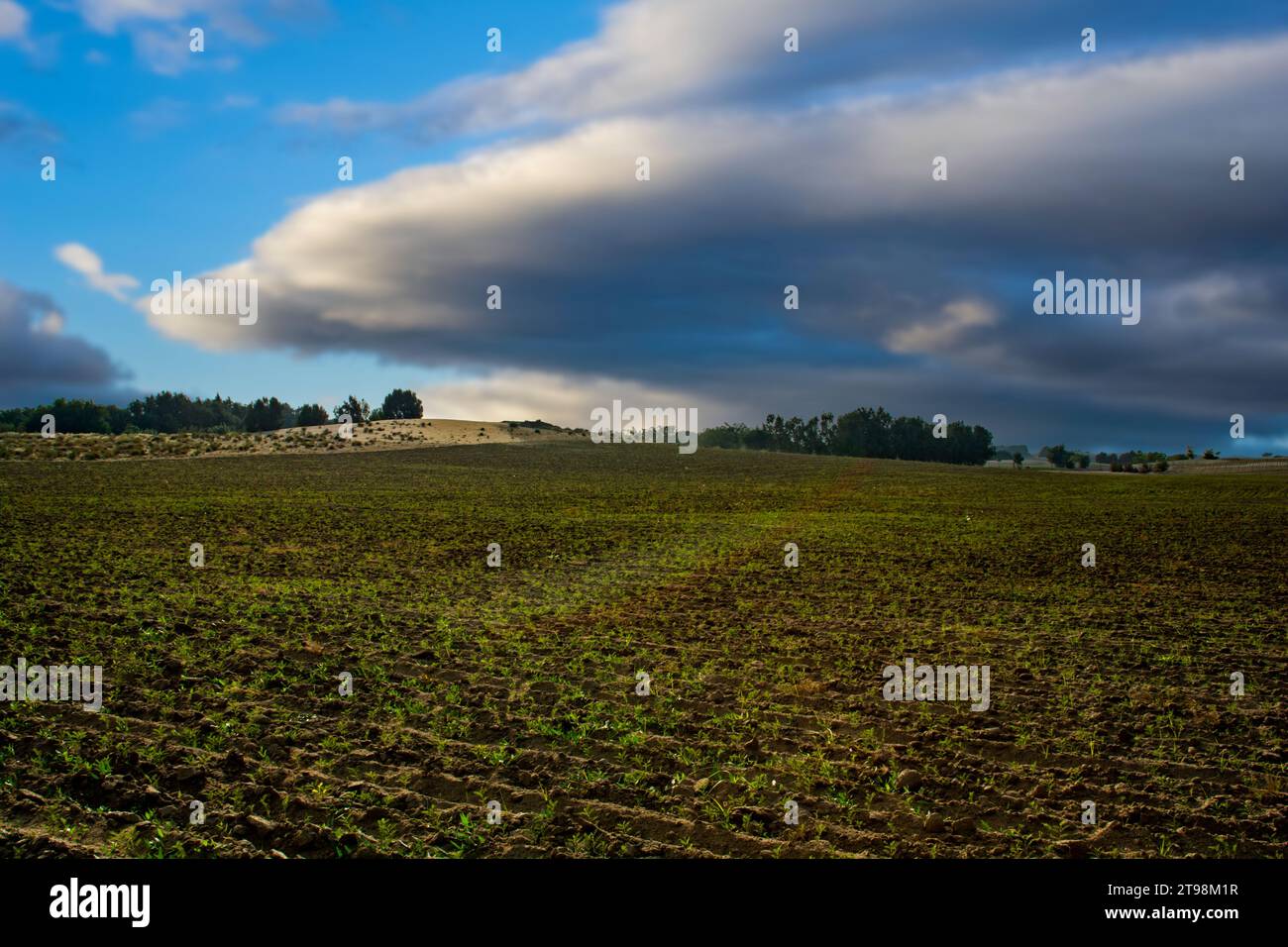 Nuages sombres au-dessus du paysage désertique Banque D'Images