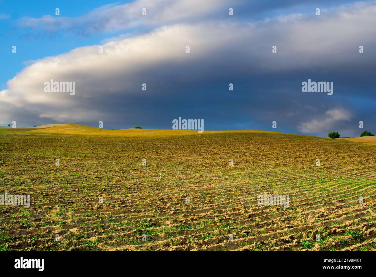 Nuages de tonnerre au-dessus du paysage désertique Banque D'Images
