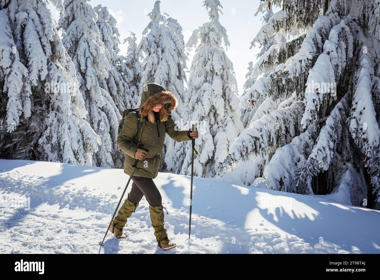 Randonnée dans la forêt de montagne d'hiver. Femme avec guêtre sur les bottes et manteau d'hiver marchant dans le sentier de neige. Aventure dans la nature Banque D'Images