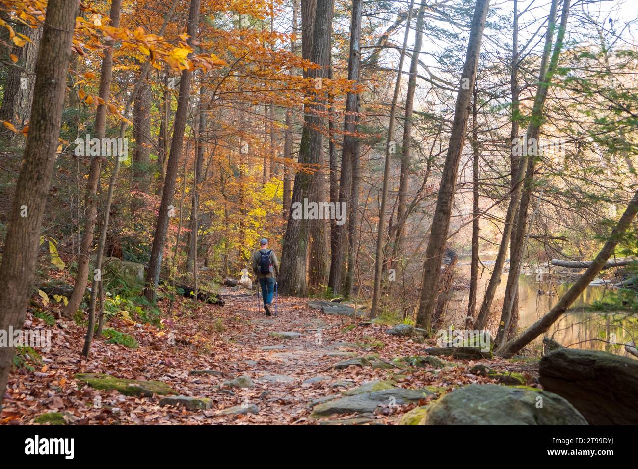 Homme randonnée le long de Wissahickon Creek, Philadelphie, Pennsylvanie, États-Unis Banque D'Images