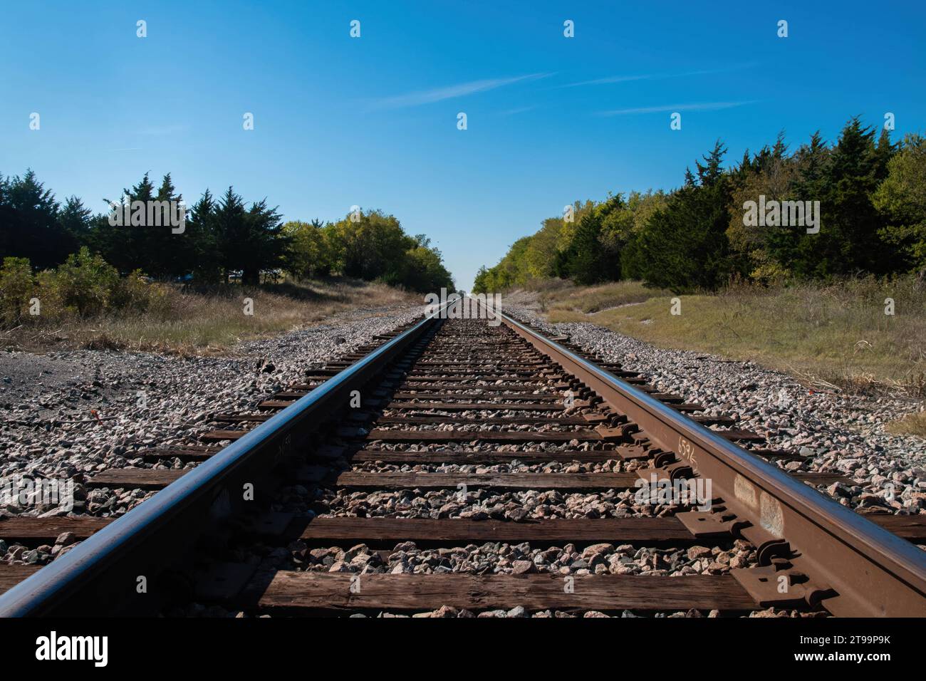 Un ensemble de voies ferrées disparaissant à l'horizon lointain alors qu'ils se dirigent sur une petite colline bordée d'arbres par un matin ensoleillé. Banque D'Images