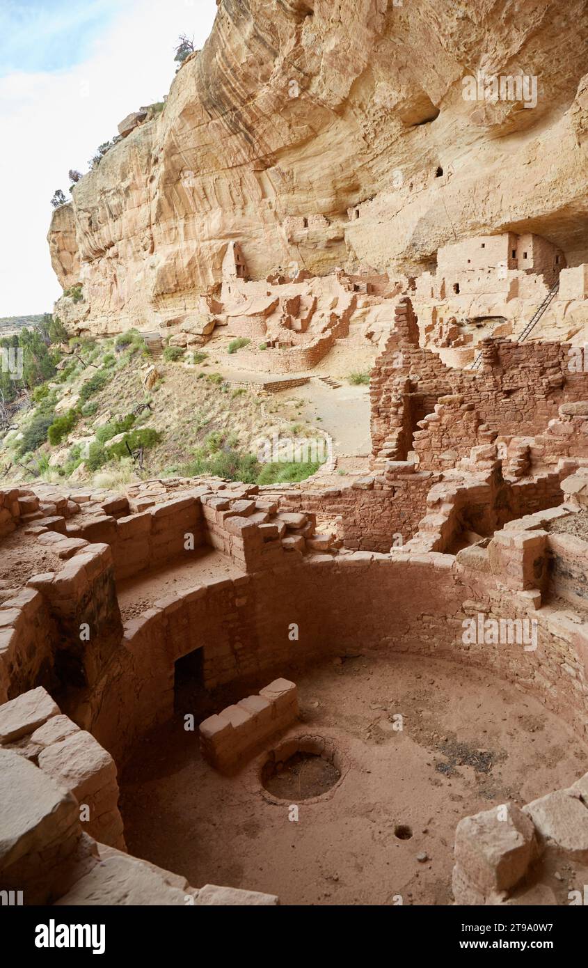 L'incroyable demeure de la falaise de long House dans le parc national de Mesa Verde, Colorado Banque D'Images