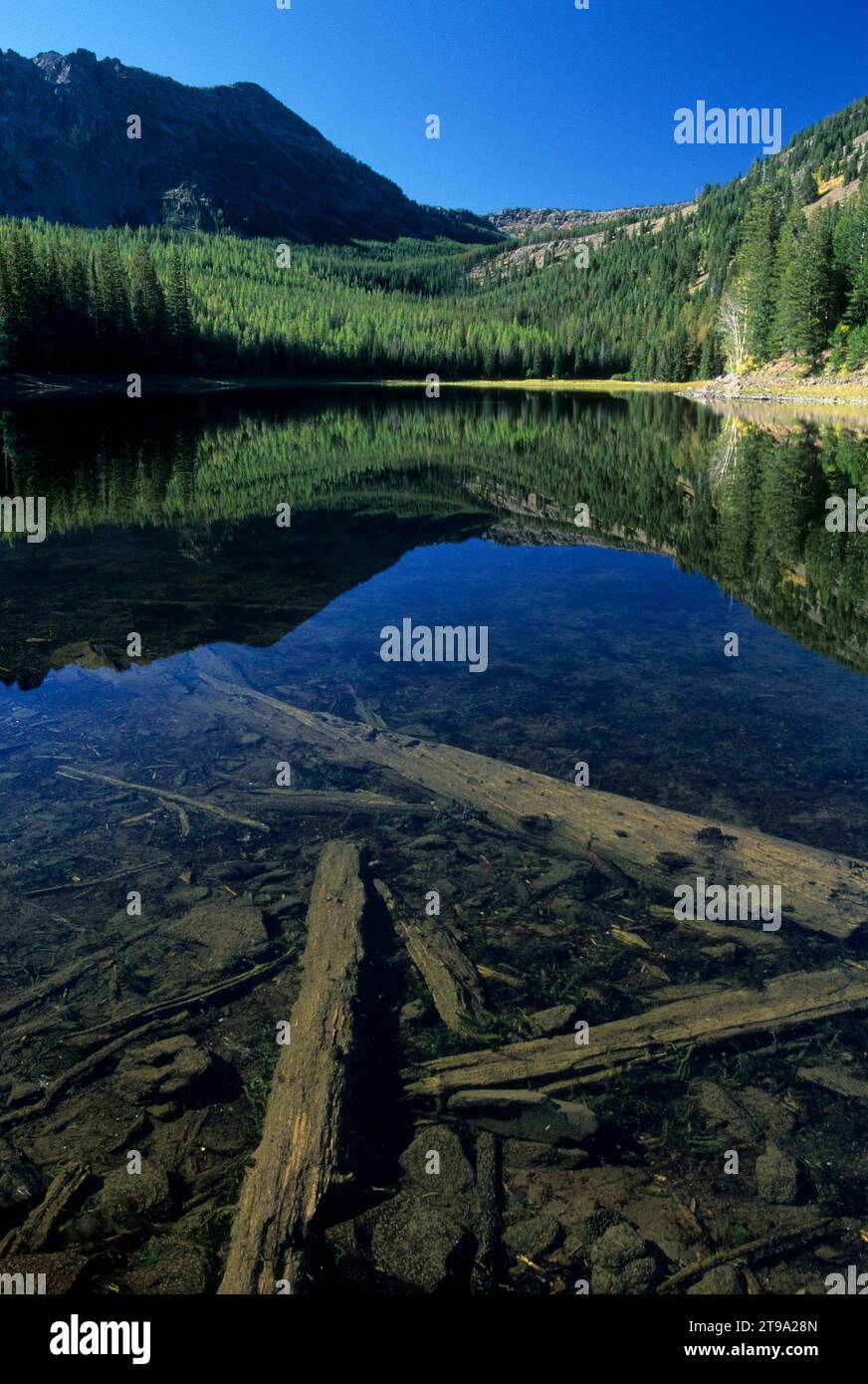 Strawberry Lake, Strawberry Mountain Wilderness, malheur National Forest, Oregon Banque D'Images